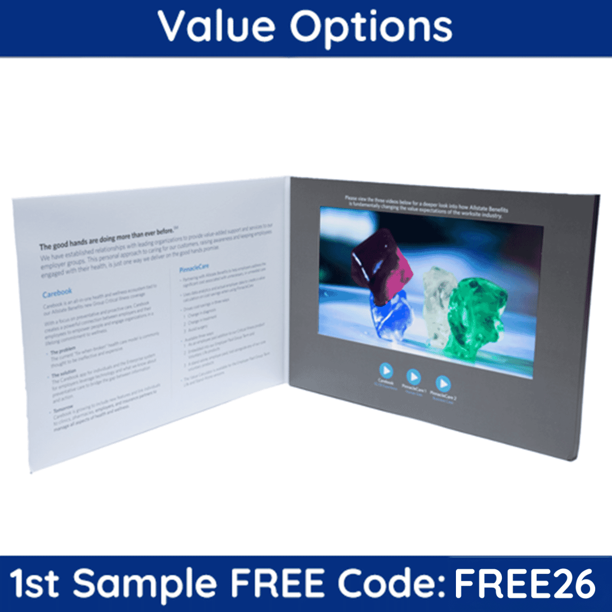 10.1" Video Screen - Landscape (11.654" x 8.268") (Sample)