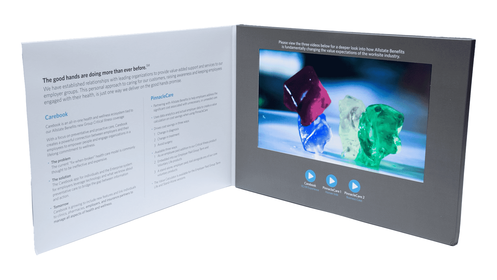 10.1" Video Screen Brochure