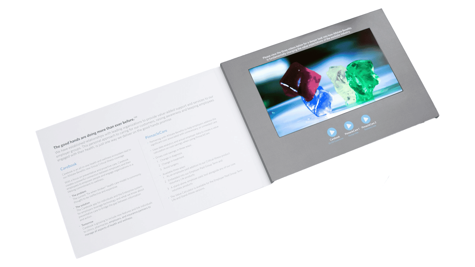 10.1" Video Screen Brochure