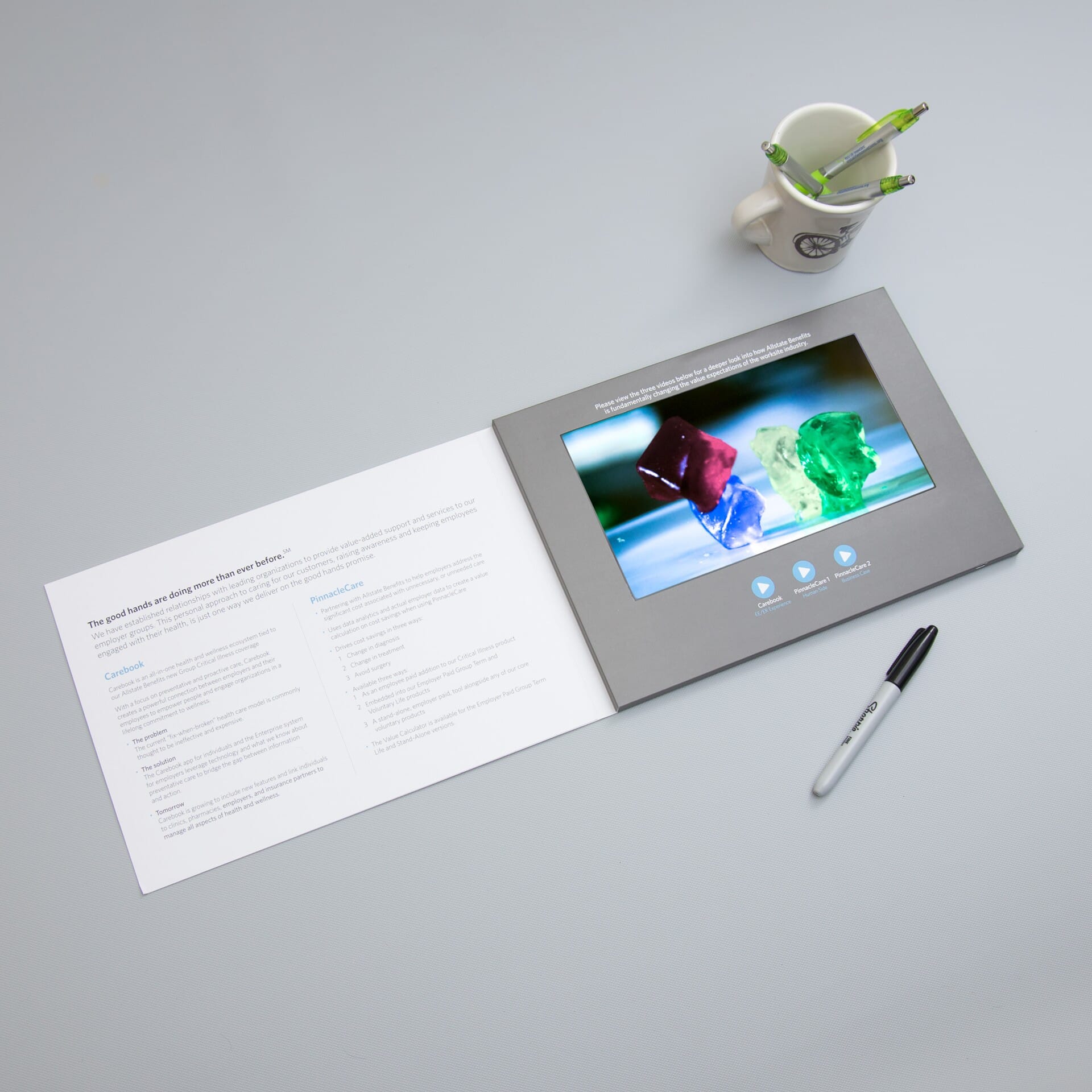 10.1" Video Screen Brochure