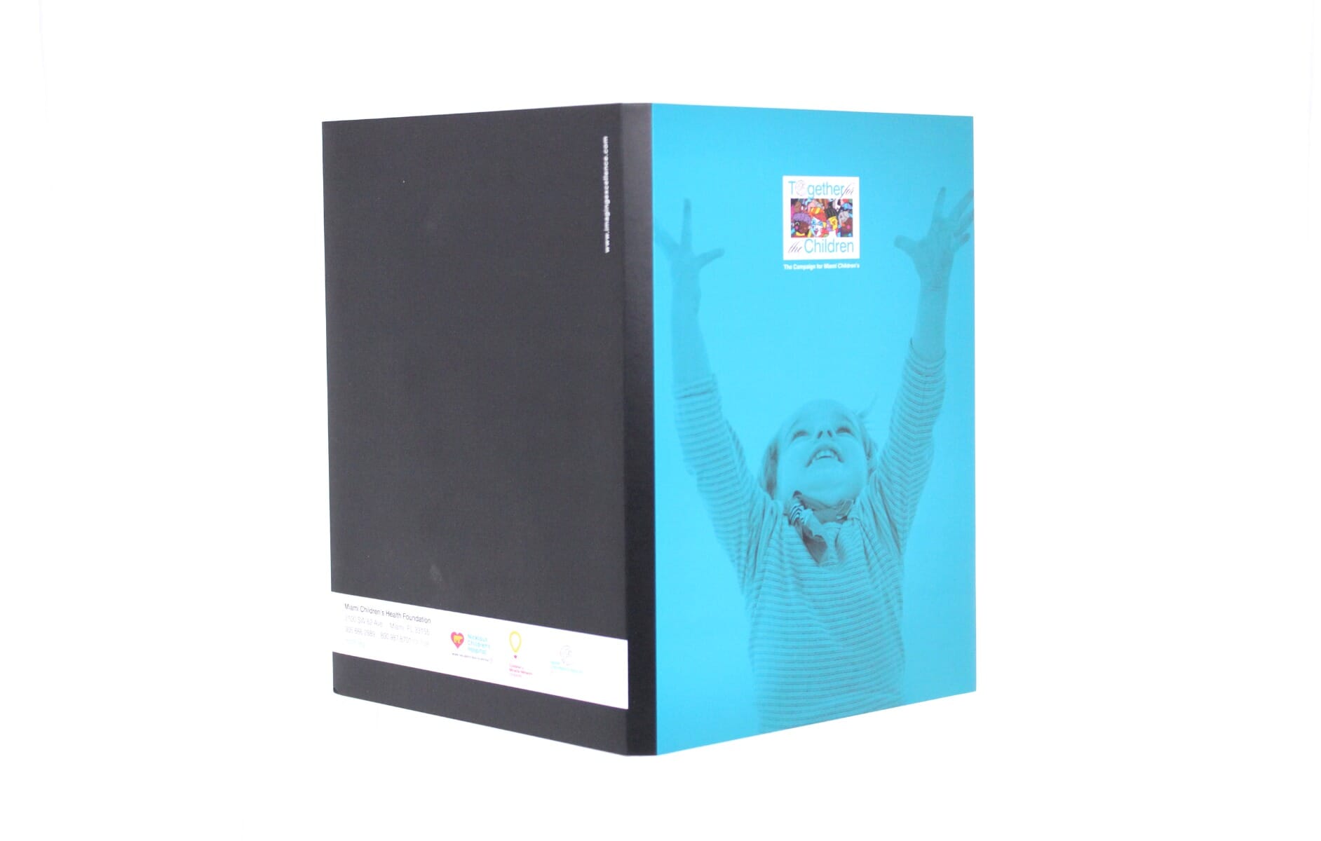 4.3" IPS Video Screen Brochure - Portrait