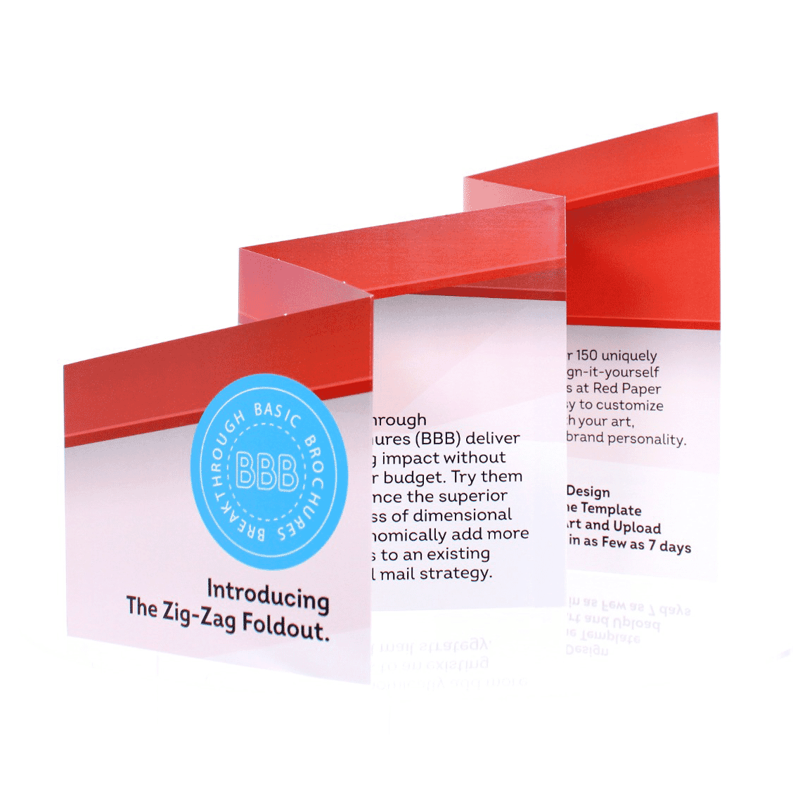 Large Zig-Zag Fold Out 