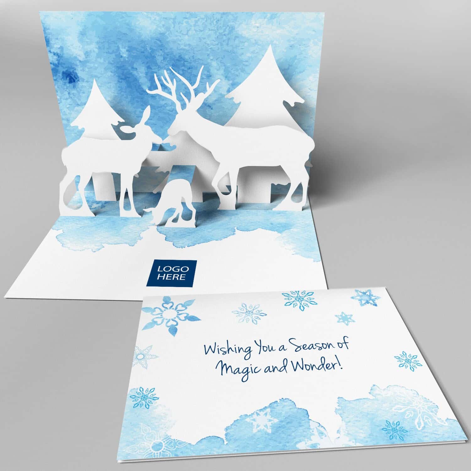 Snow Scene Holiday Card (5" x 7") (Sample)