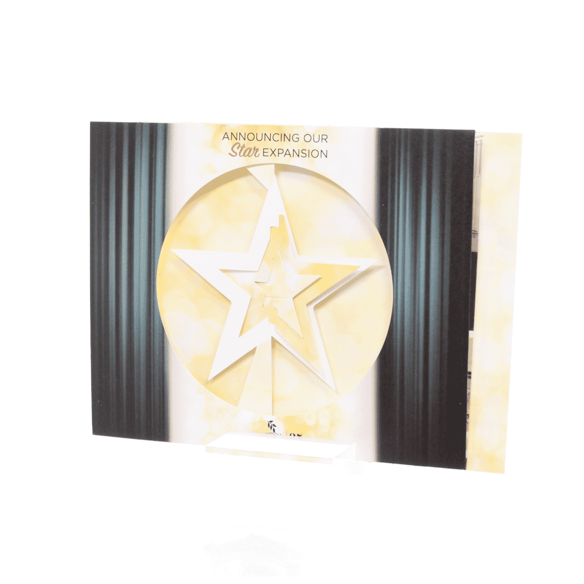 Stone County Rehabilitation Thanks Its Customers Using the Star Spinner Holiday Card 