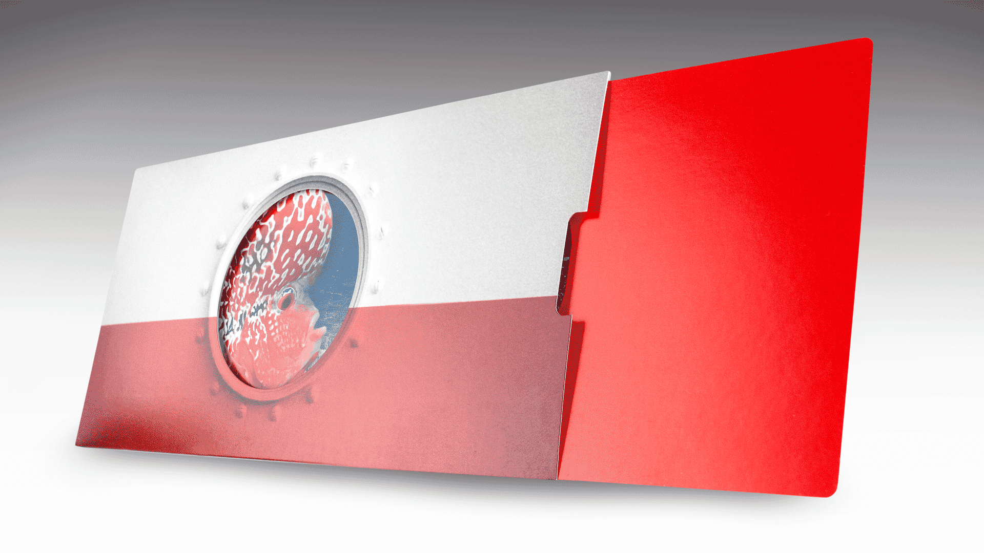 Porthole Sliding Reveal Brochure