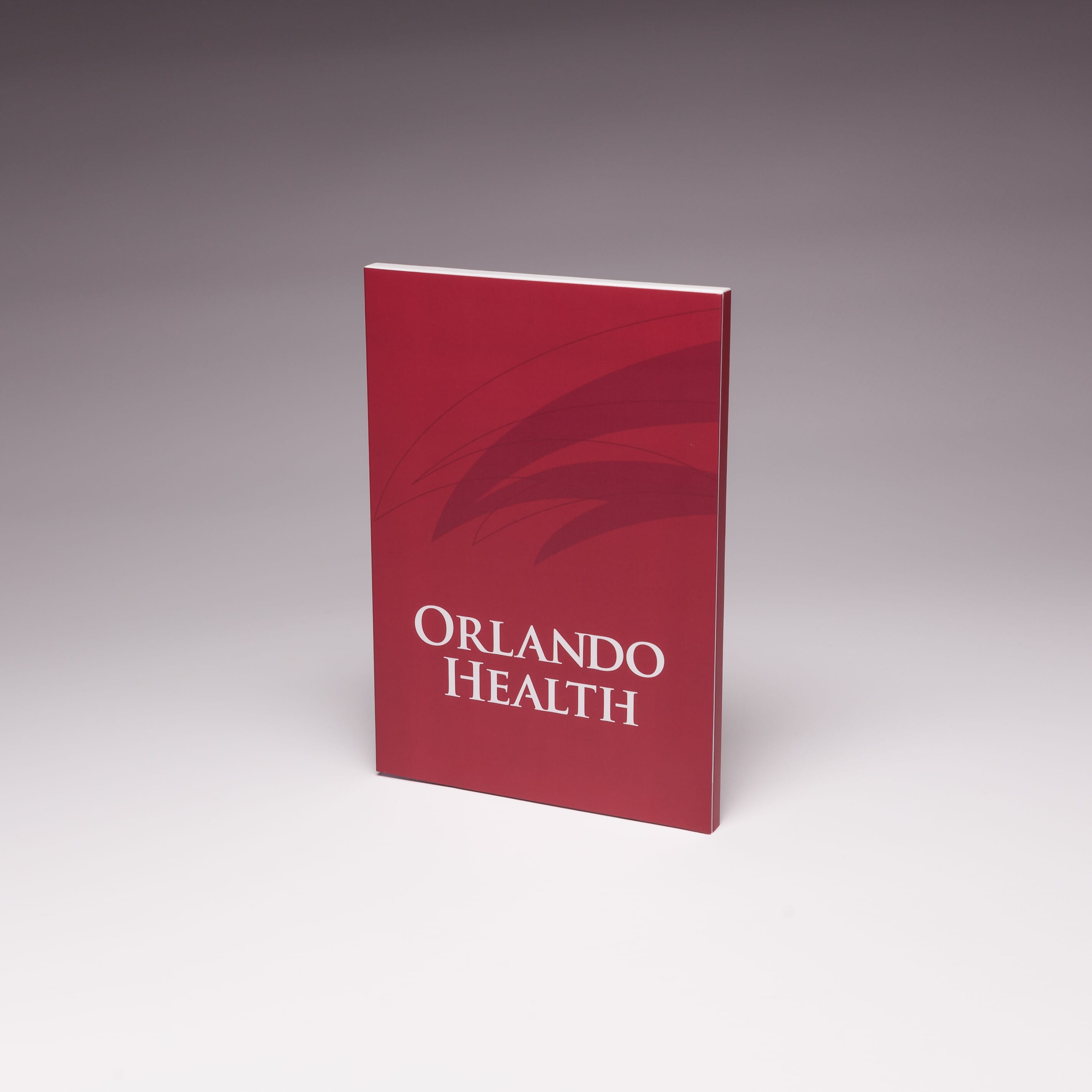 4.3" Video Screen Brochure