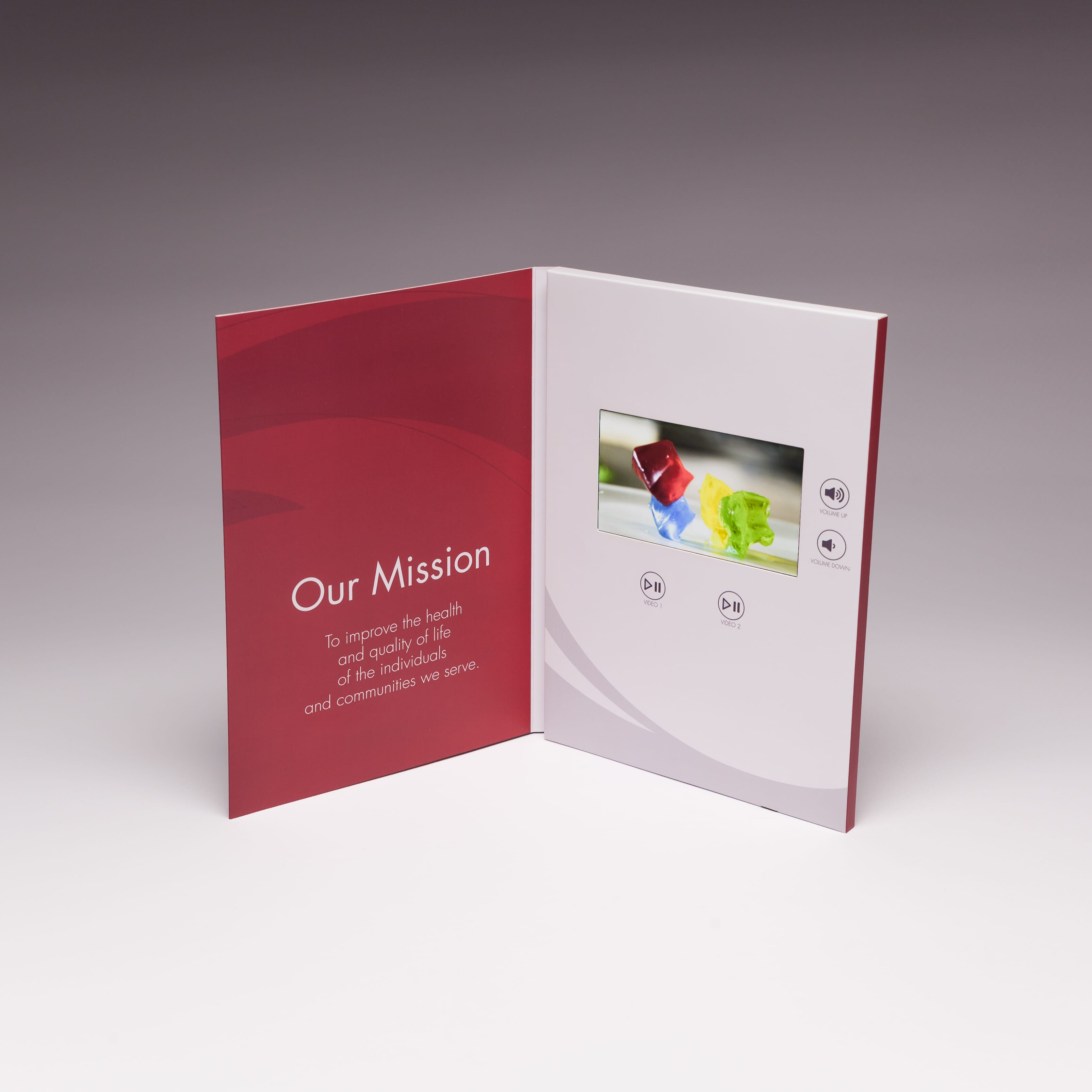 4.3" Video Screen Brochure