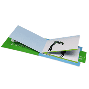 Flipbook