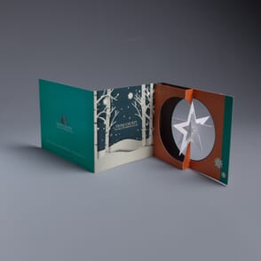 Stone County Rehabilitation Thanks Its Customers Using the Star Spinner Holiday Card