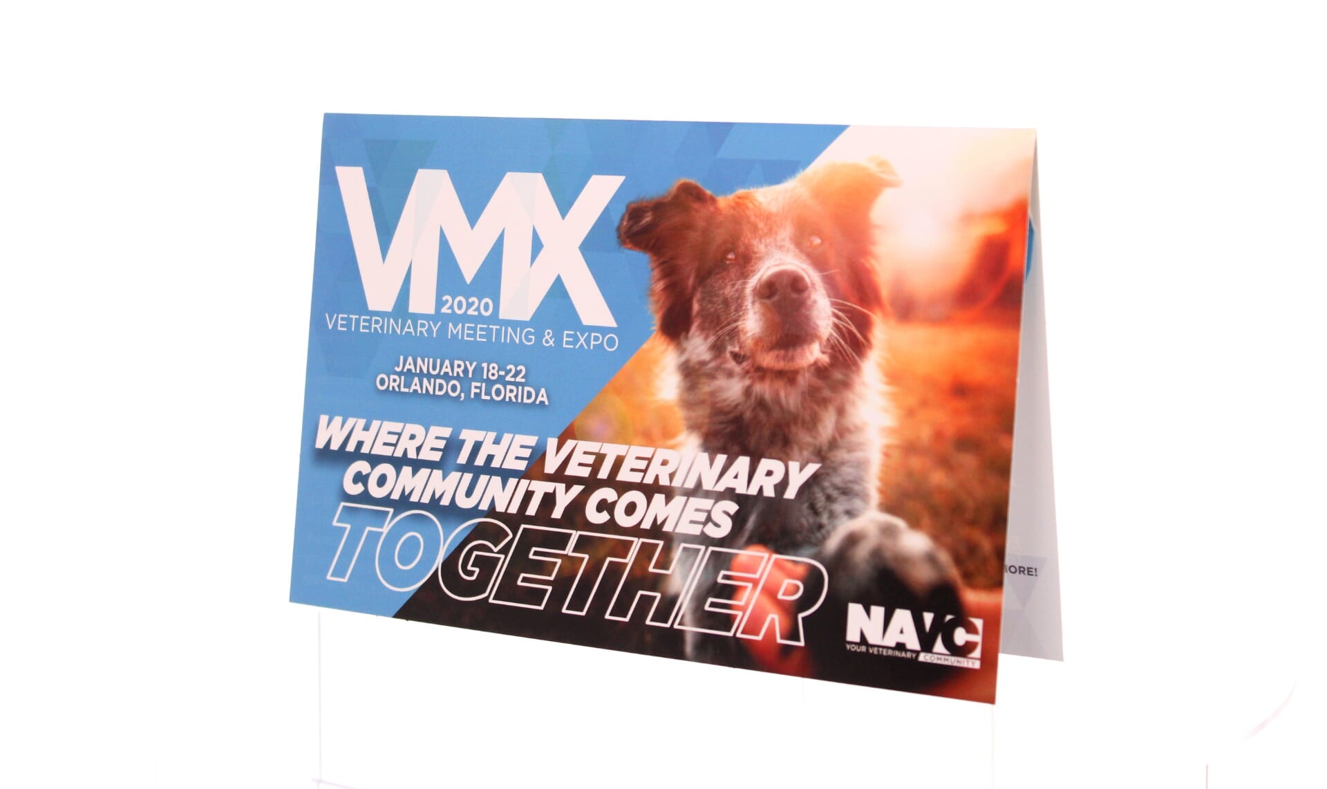 Pop Up Web Key Brochure