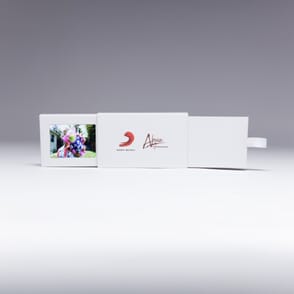 2.4" Extendo® Video Business Card (3.779" x 2.165") (Sample)