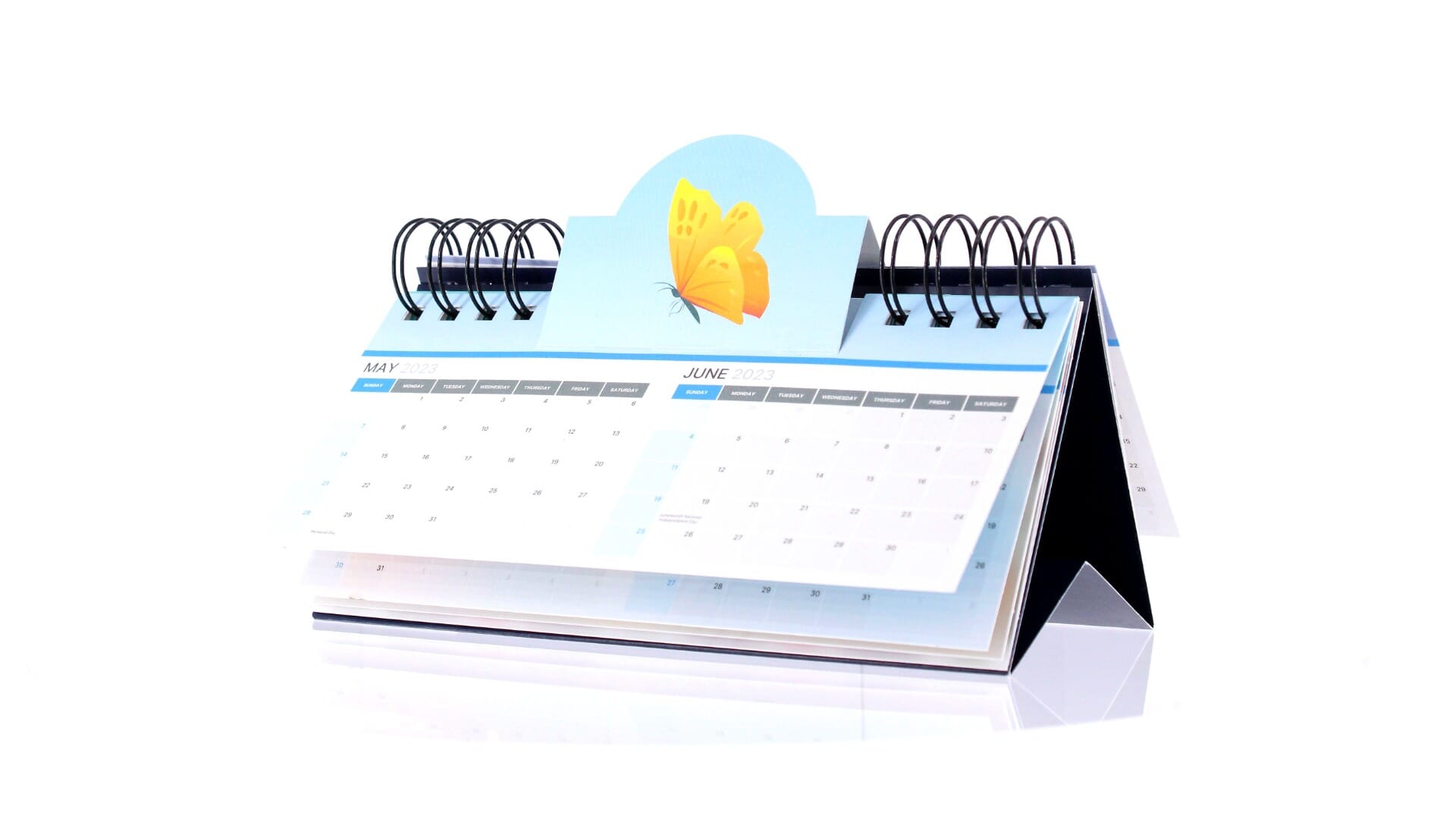 Scallop Pop Standing Calendar